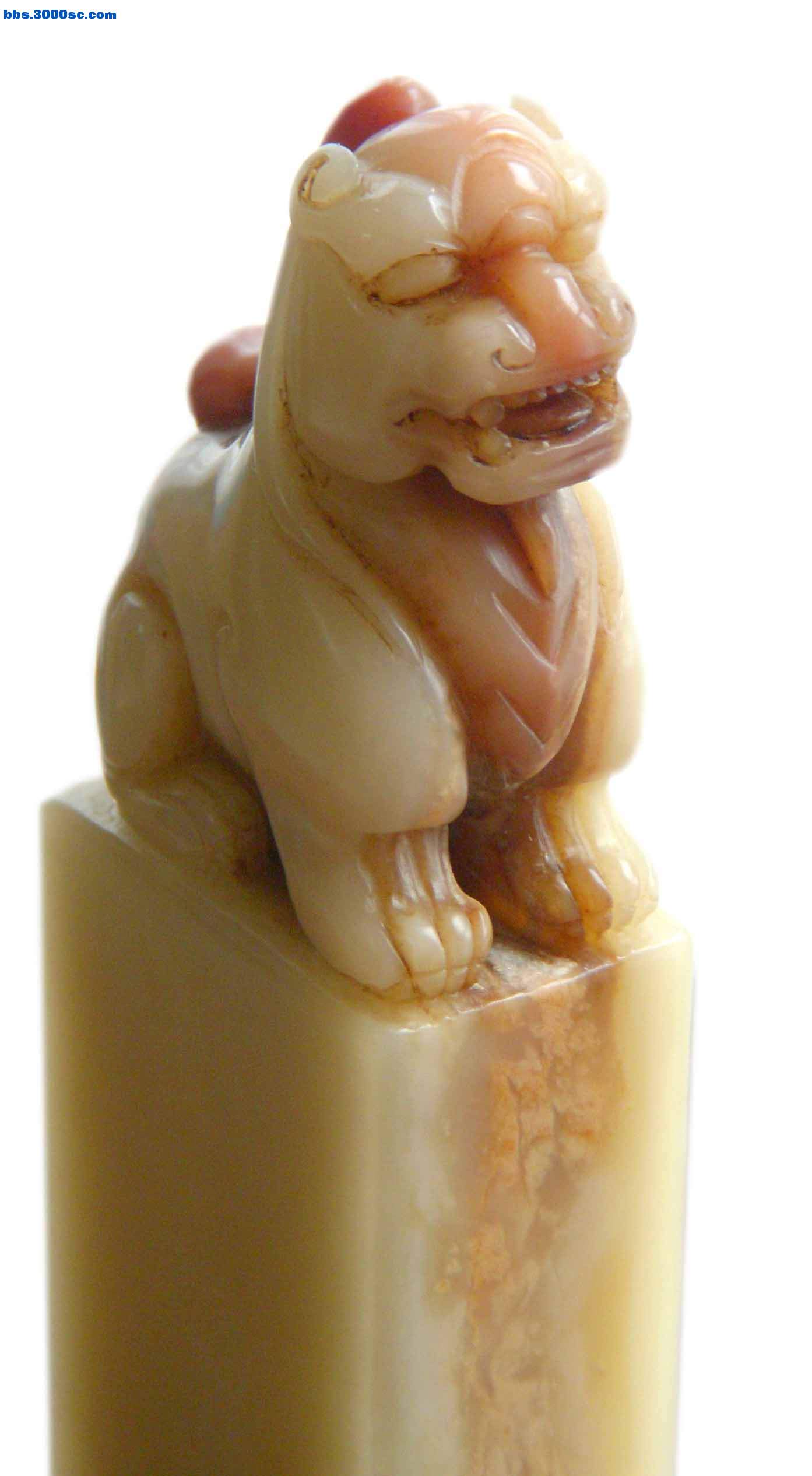 未标题-1236.jpg