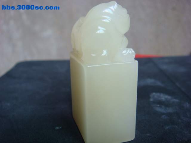 DSC02096.JPG