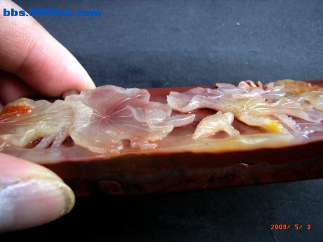 RIMG4096 拷贝.jpg