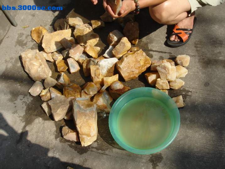 DSC05867_调整大小.JPG