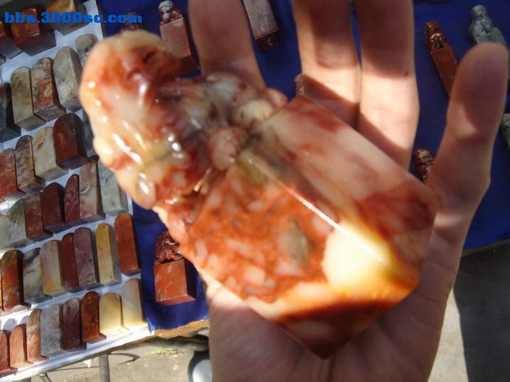 DSC05870_调整大小.JPG