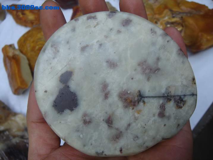 DSC05876_调整大小.JPG