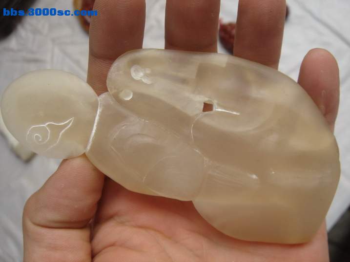 DSC05927_调整大小.JPG
