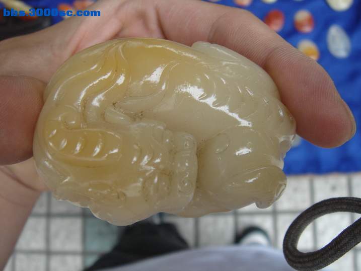 DSC05929_调整大小.JPG