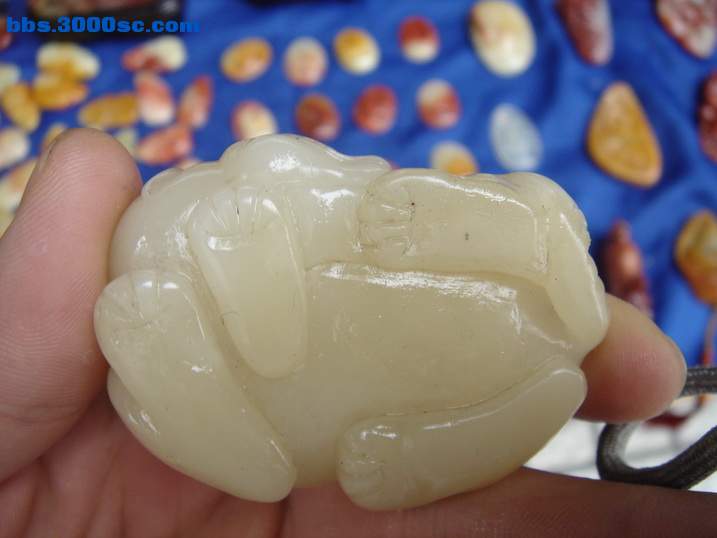 DSC05930_调整大小.JPG