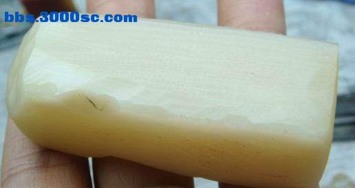DSC02102.JPG