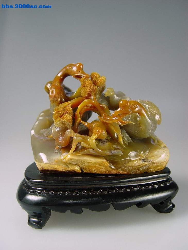 DSC08244.JPG