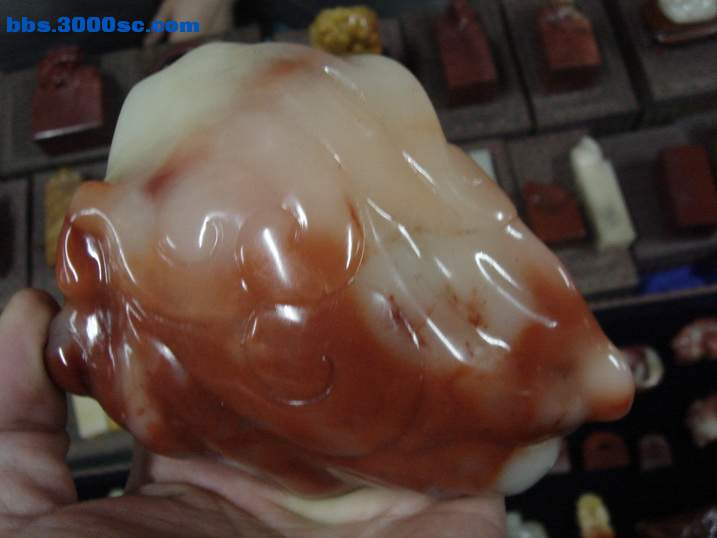 DSC05883_调整大小.JPG