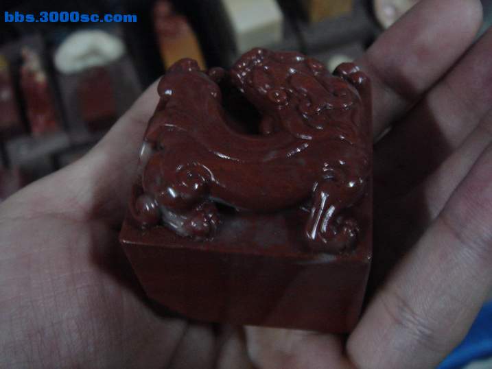 DSC05885_调整大小.JPG