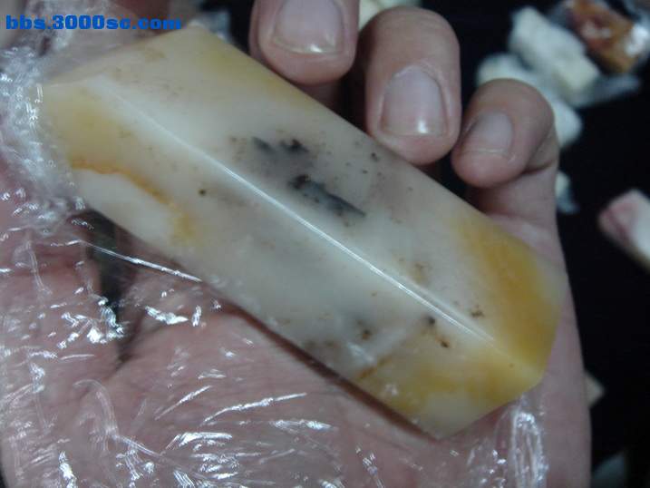 DSC05888_调整大小.JPG
