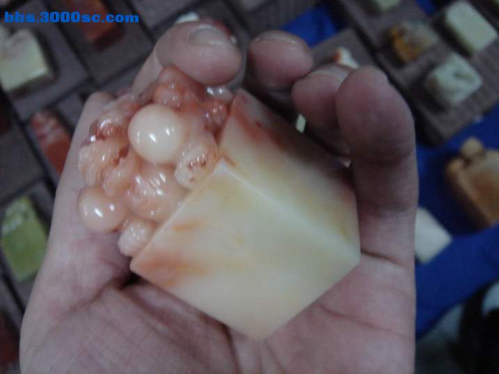 DSC05892_调整大小.JPG