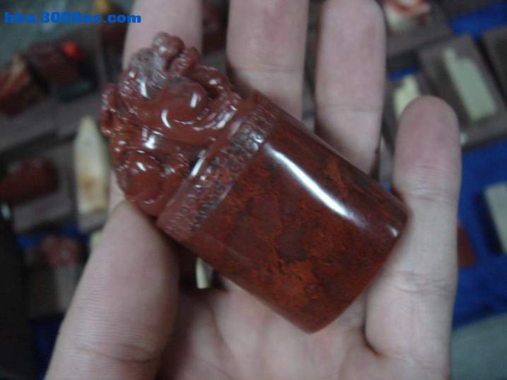 DSC05894_调整大小.JPG