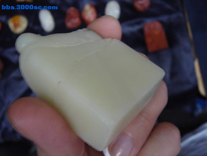 DSC05943_调整大小.JPG