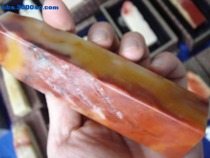 DSC05948_调整大小.JPG