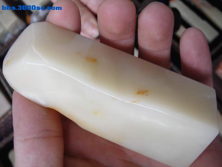 DSC05949_调整大小.JPG