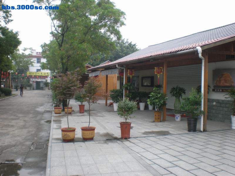 调整大小 P5190142.JPG