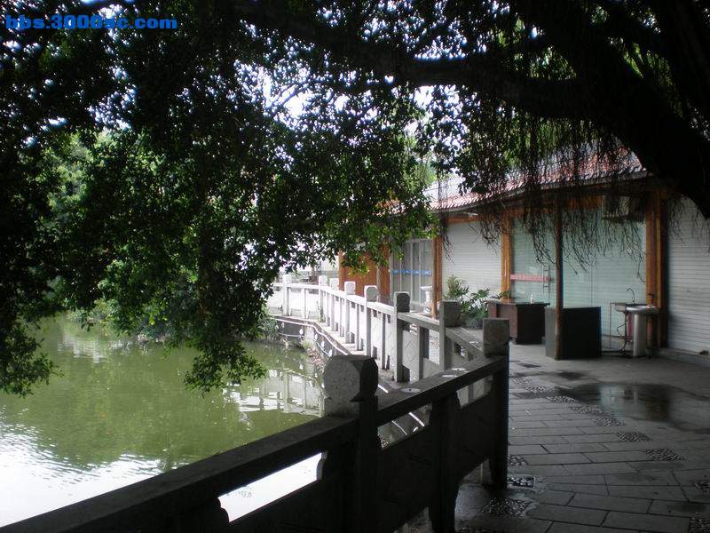 调整大小 P5190146.JPG