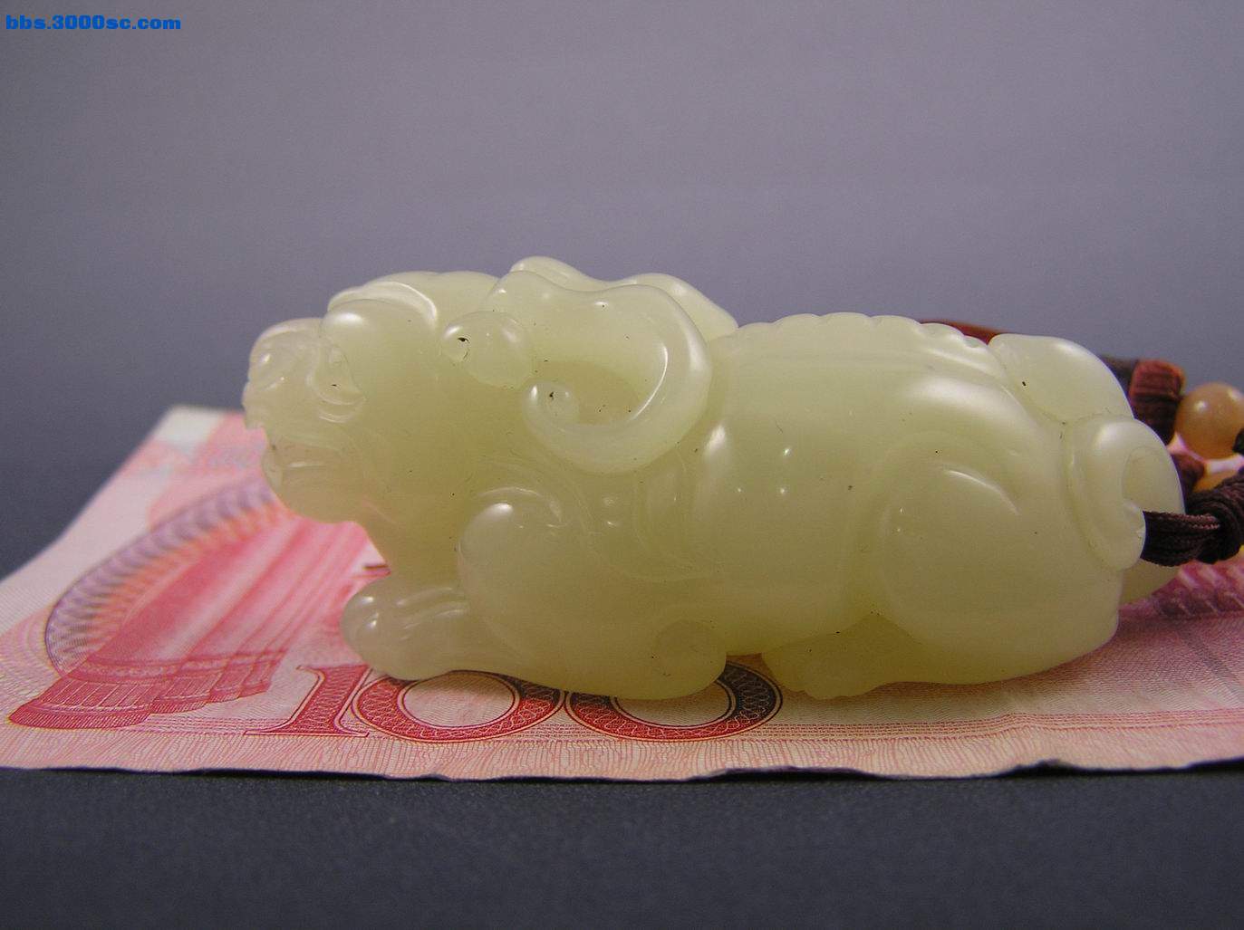 调整大小 P1010003.JPG
