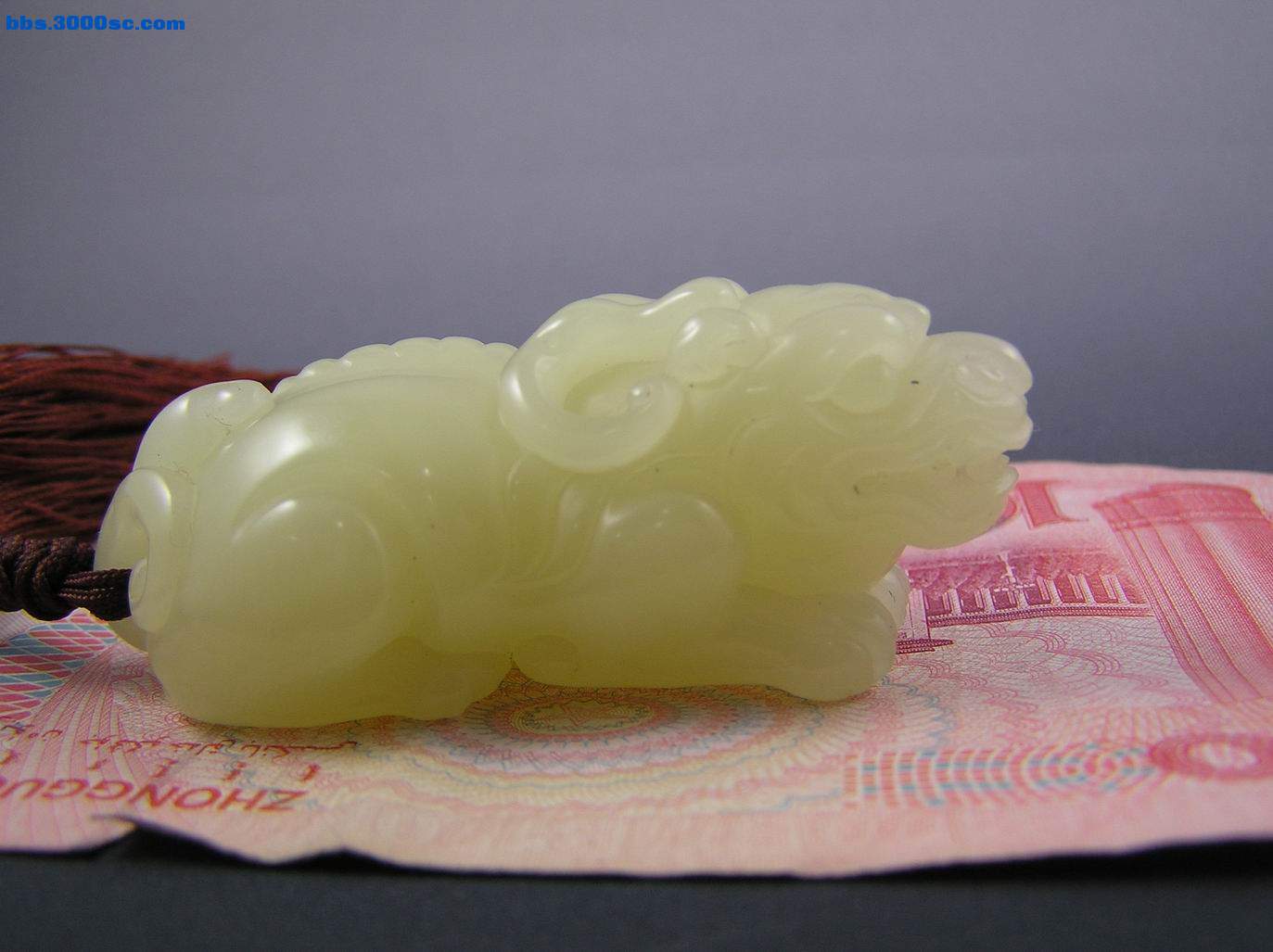 调整大小 P1010004.JPG