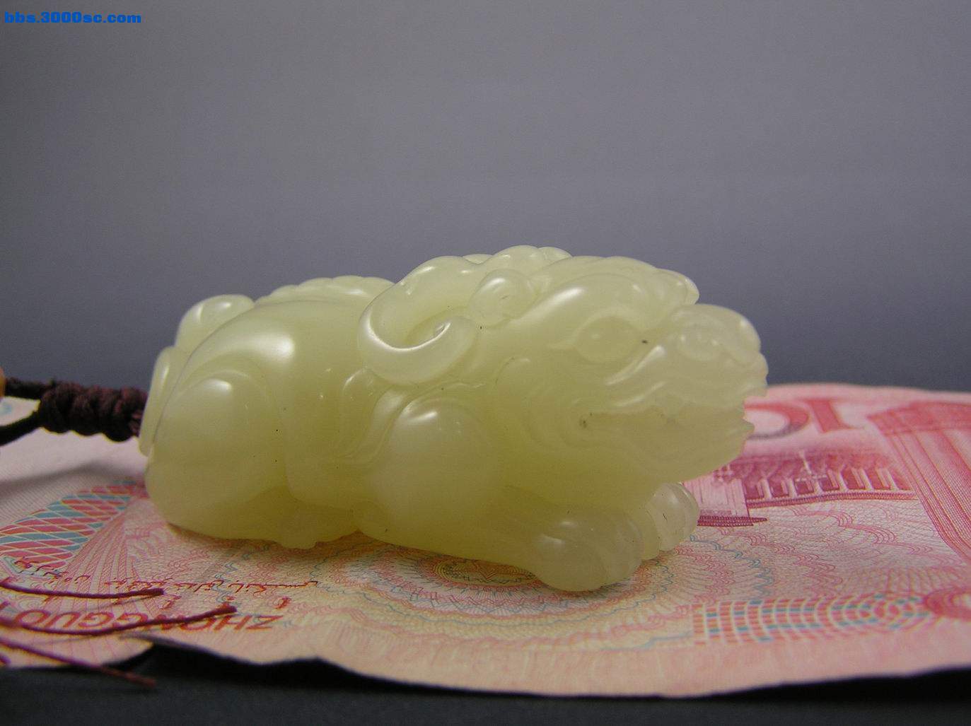 调整大小 P1010005.JPG