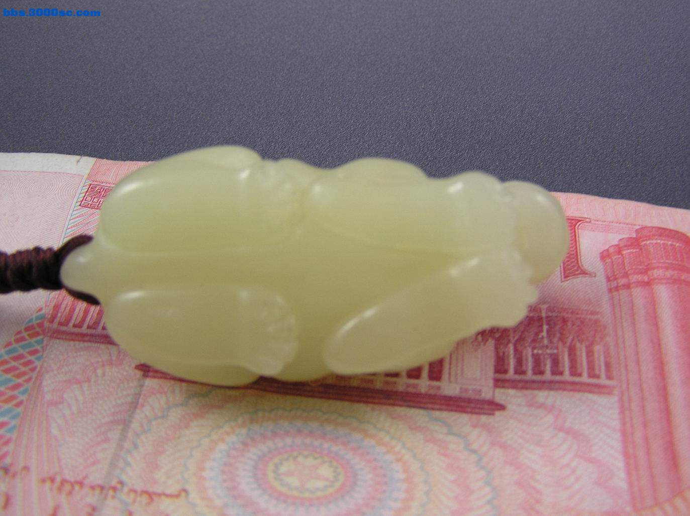 调整大小 P1010006.JPG