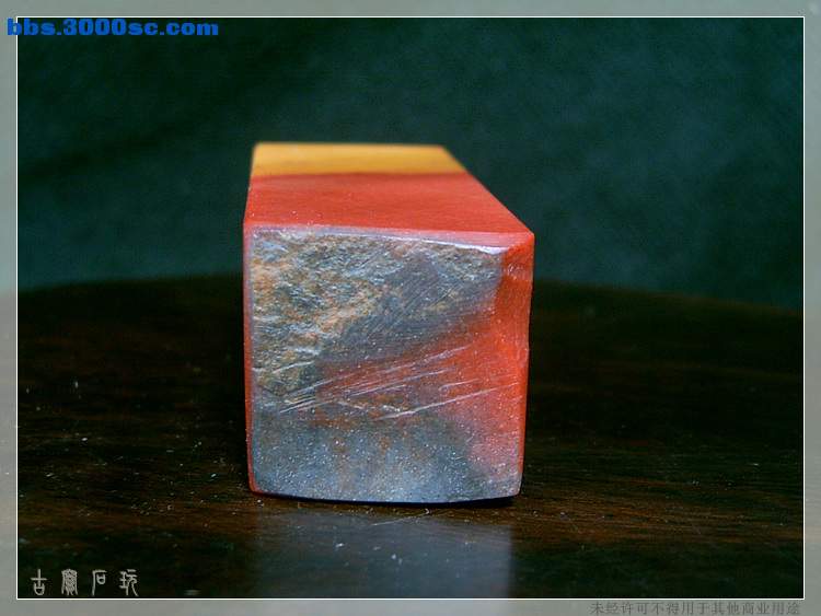 SUC34593.jpg