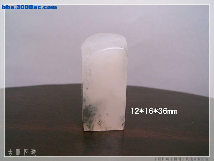 SUC34795.jpg