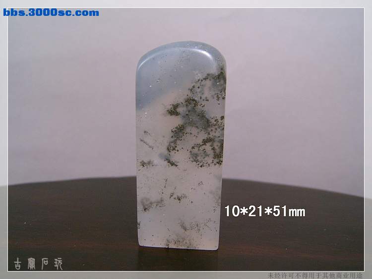 SUC34810.jpg