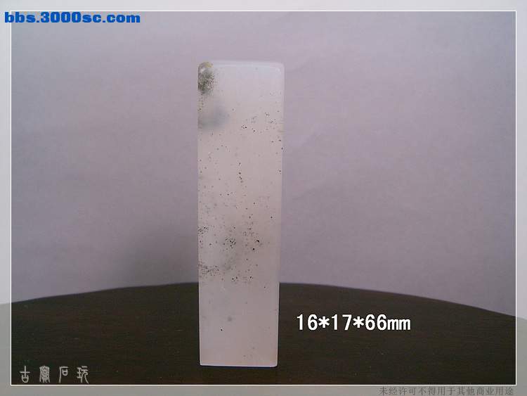 SUC34825.jpg
