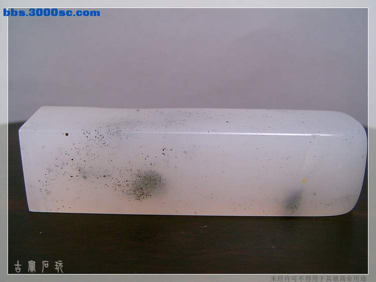 SUC34830.jpg