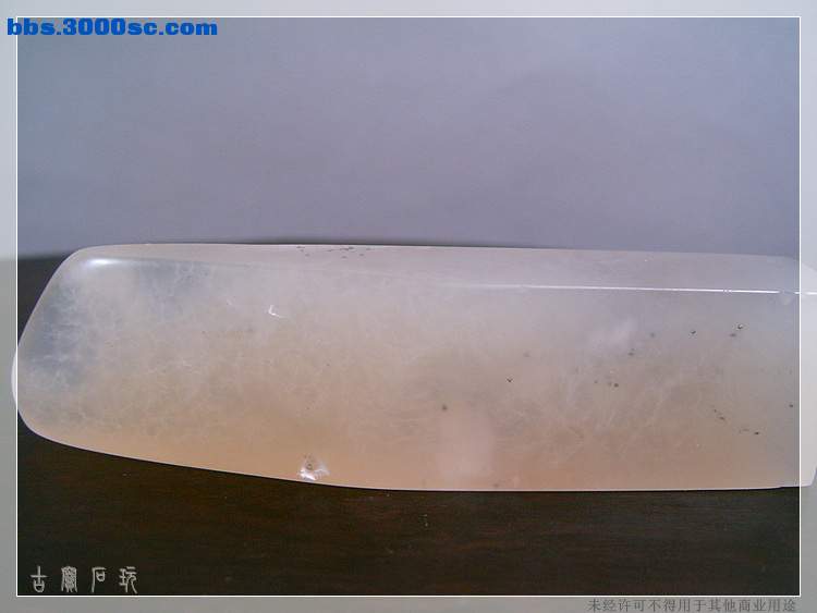 SUC34839.jpg