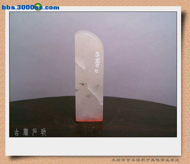 SUC35093.jpg