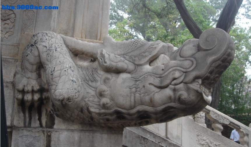 未命名.jpg