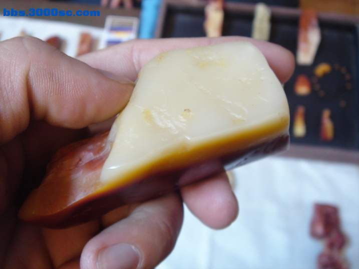 DSC05899_调整大小.JPG