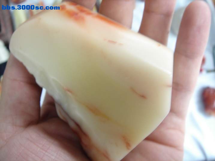 DSC05960_调整大小.JPG