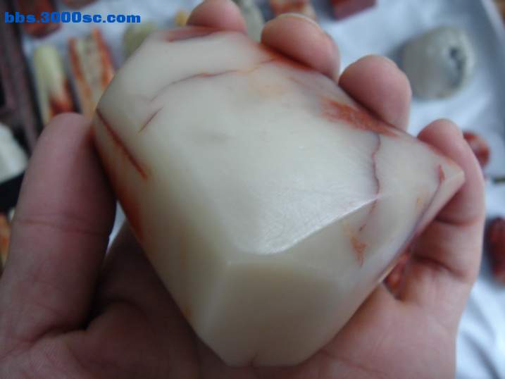 DSC05961_调整大小.JPG