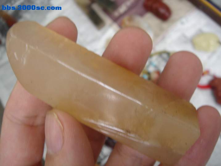 DSC05962_调整大小.JPG