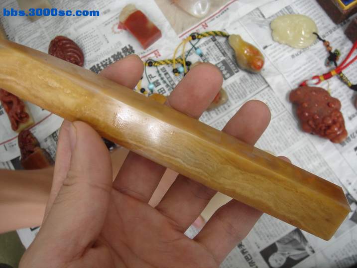 DSC05965_调整大小.JPG