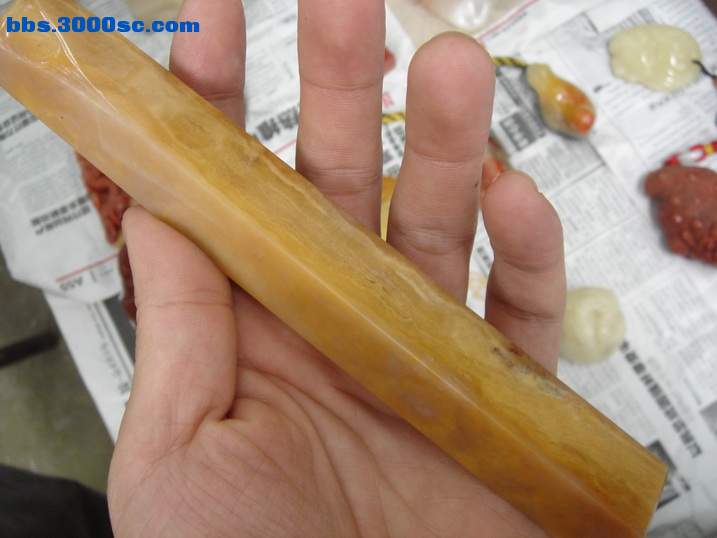 DSC05966_调整大小.JPG