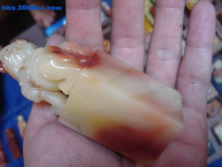 DSC05915_调整大小.JPG