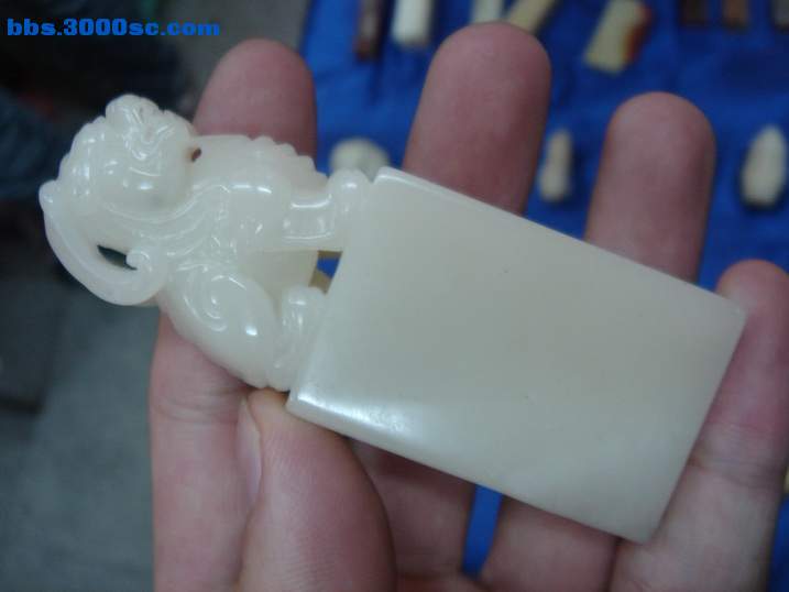 DSC05919_调整大小.JPG