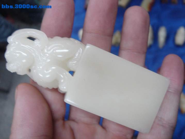 DSC05920_调整大小.JPG