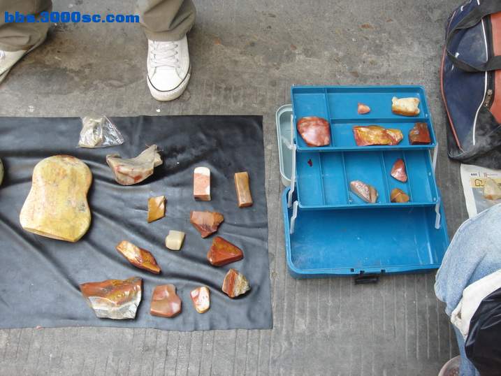 DSC05924_调整大小.JPG
