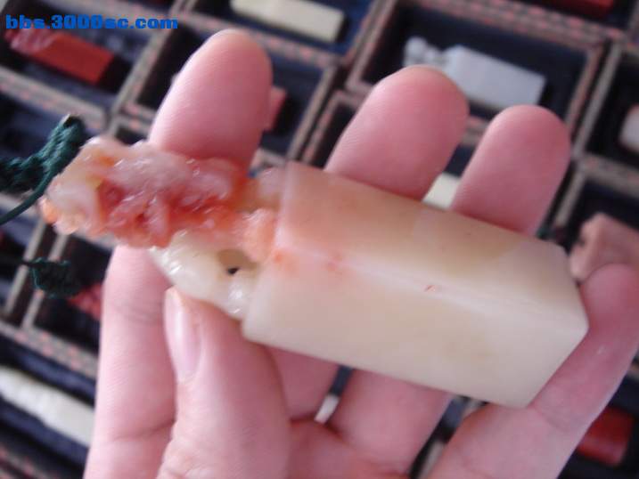 DSC05983_调整大小.JPG