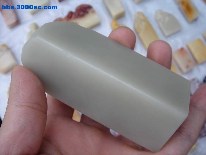 DSC05987_调整大小.JPG