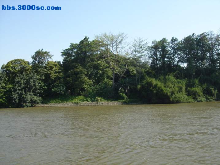DSC05725_调整大小.JPG