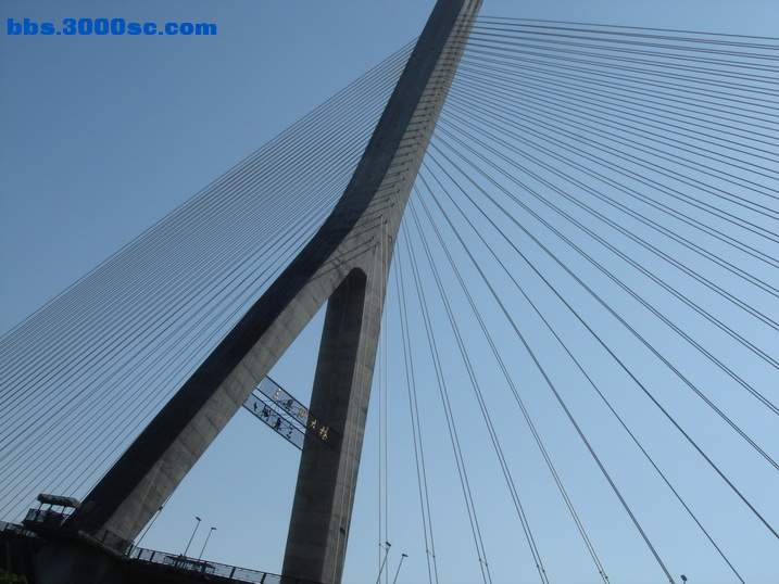 DSC05726_调整大小.JPG