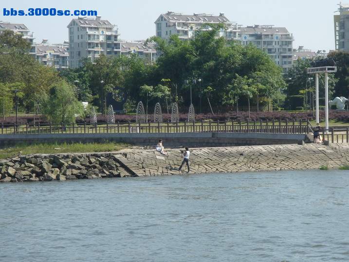 DSC05762_调整大小.JPG