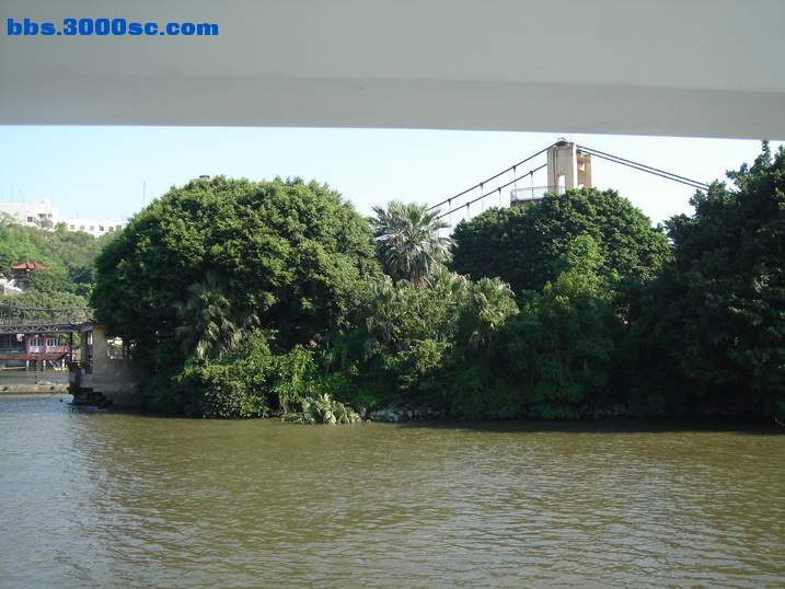 DSC05816_调整大小.JPG