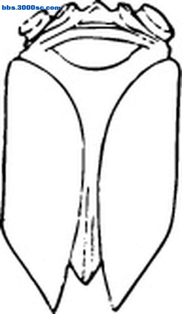 0470040483.jpg